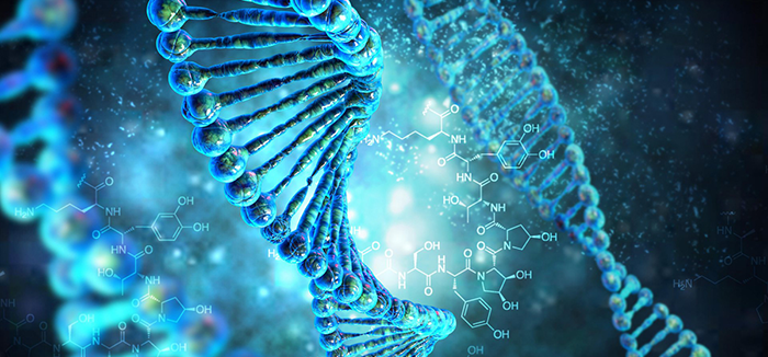 изучение структуры ДНК