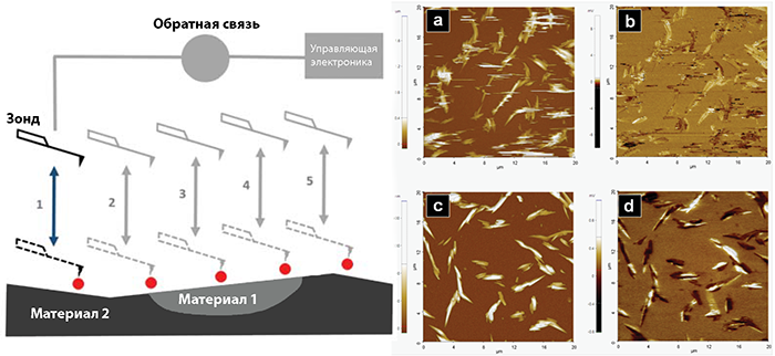 Анализ методом пьезоэлектрической силовой микроскопии в режиме PinPoint