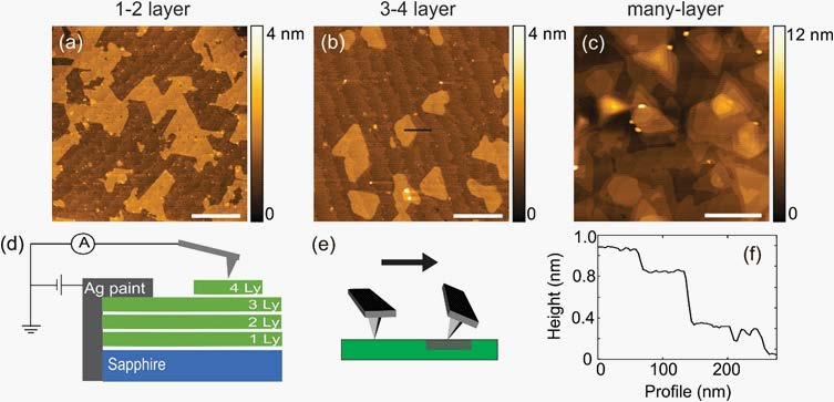 Топографические изображения исследуемых образцов