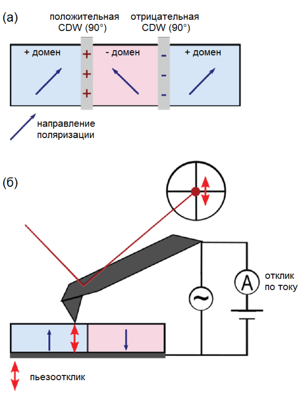 Пример положительно и отрицательно заряженных доменных стенок