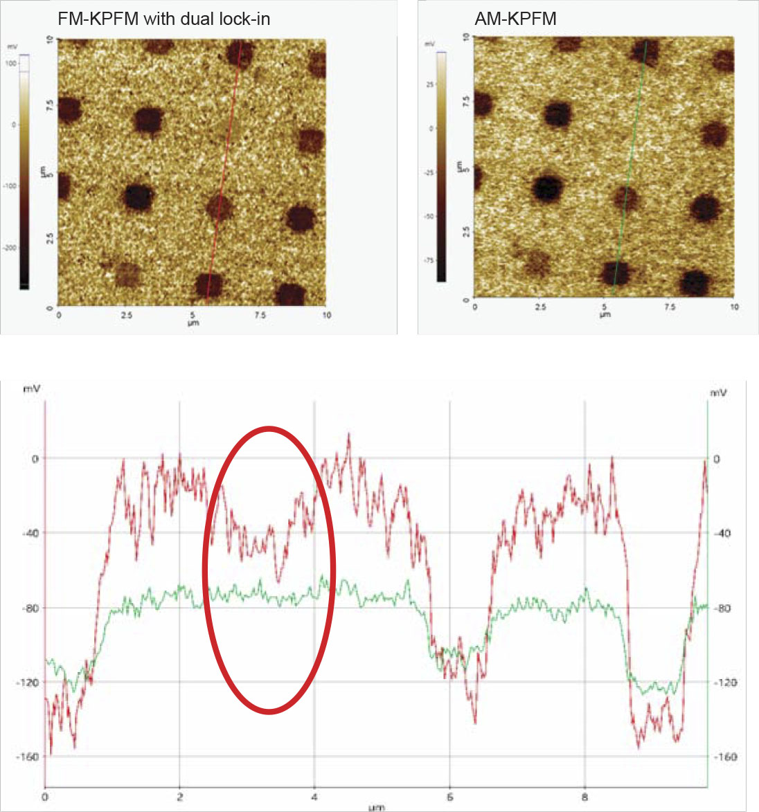 FM-KPFM изображение
