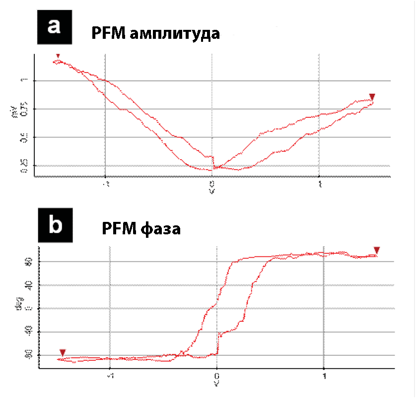 Гистерезисные кривые зависимости сигналов  PFM амплитуды и PFM фазы от приложенного к поверхности образца напряжения смещения