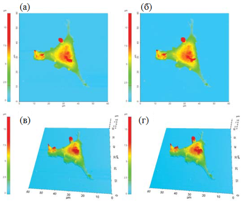 Топографические  изображения