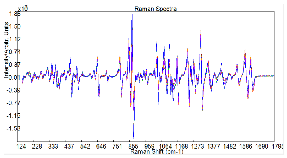 Вид полученных спектров после и х предварительной обработки в BWIQ