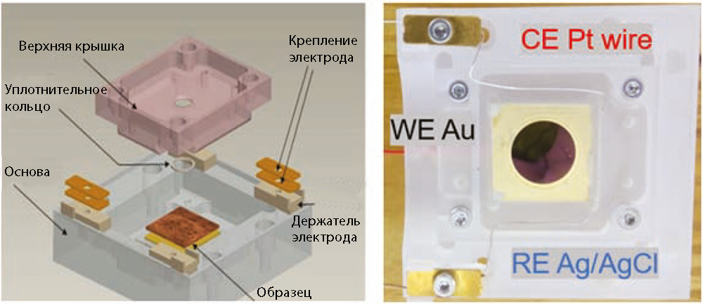 Общая структура электрохимической ячейки (слева) и ее реальное типоисполнение во время эксперимента (справа)