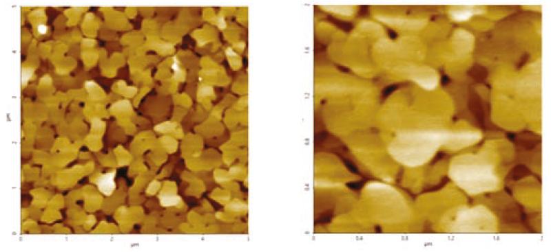 Опорные топографические изображения золотой фольги, полученные в воздухе (слева, размер 5 × 5 мкм) и в растворе (справа, размер 1 × 1 мкм) до проведения эксперимента