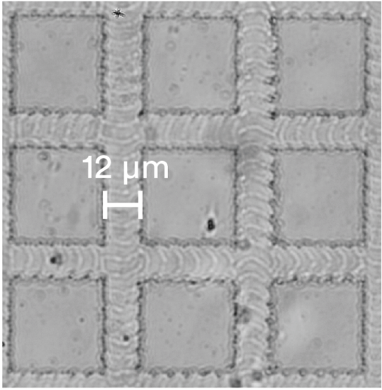Точное нанесение рисунка ITO на PET с размером элемента 12 мкм