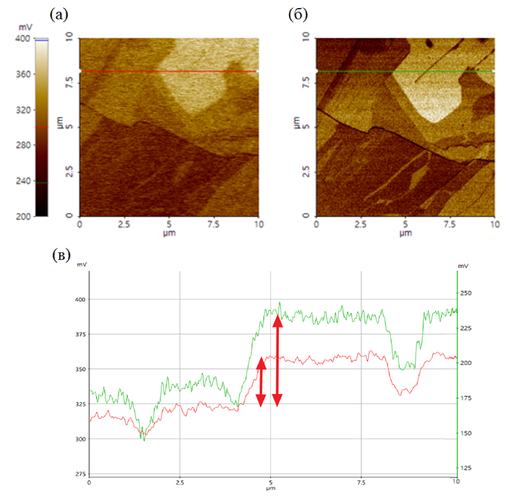 Сравнение поверхностного потенциала образца, полученного методами (а) и боковой (б), а также анализ профиля потенциала (в) вдоль соответствующих линий сечения