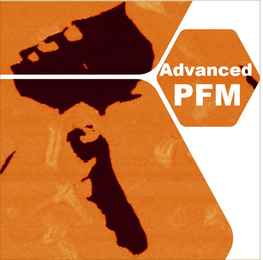 pfm webinar